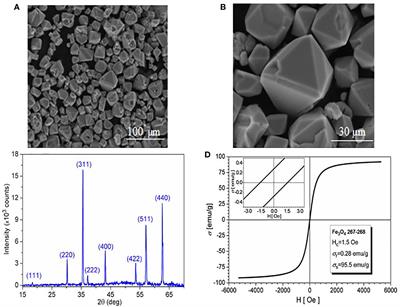 Controlled Synthesis and Characterization of Micrometric Single Crystalline Magnetite With Superparamagnetic Behavior and Cytocompatibility/Cytotoxicity Assessments